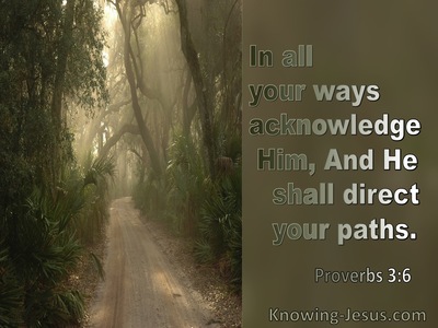 Proverbs 3:6 In All Your Ways Acknowledge Him And He Will Direct Your Path (sage)